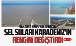 Sakarya Nehri’nin getirdiği sel suları, Karadeniz’in rengini değiştirdi