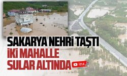 Sakarya Nehri taştı, Karasu’da iki mahalle sular altında kaldı