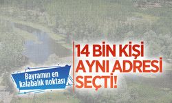 Bayramın gözdesi Acarlar Longozu oldu