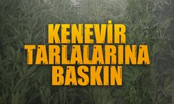 Karasu dahil üç ilçede operasyon