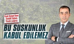 Saadet Partili Fuat Aygın'dan fındık taban fiyatı çağrısı