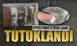 Karasu’da uyuşturucu tarlasına operasyon