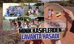 Karasu İlk Adım Gündüz Bakımevi minikleri lavanta bahçesinde