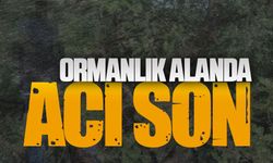 Kurudere'de 33 yaşındaki genç ormanlık alanda ölü bulundu