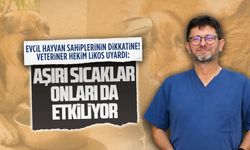 Veteriner Hekim Orhan Likos, evcil hayvan sahiplerine uyarıda bulundu