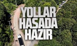 Fındık hasadı öncesi yollara büyükşehir dokunuşu