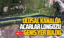 Ulusal kanalda, Acarlar Longozu geniş yer buldu