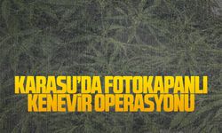 Karasu’da fotokapanlı kenevir operasyonu