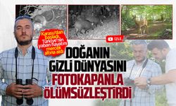 Sakarya’nın yaban hayatı fotokapanlara böyle yansıdı