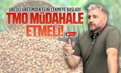 Murat Ali Aksoy: Üretici elini çekmeye başladı, TMO fiyatı güncellemeli