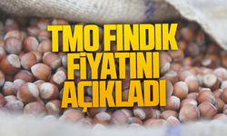 TMO fındık alım fiyatlarını açıkladı