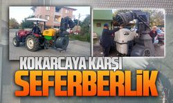 Karasu Mahallesi’nde kahverengi kokarcaya karşı mücadele