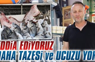 Hamside bu sene bolluk var