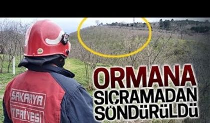 Orman, küle dönmekten son anda kurtarıldı