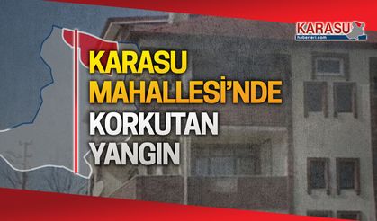 Karasu'daki yangına iki ilçeden müdahale