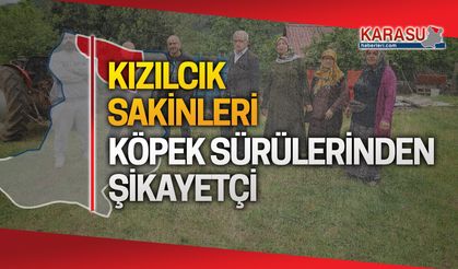 Kızılcık Mahallesi sakinleri canından bezdi