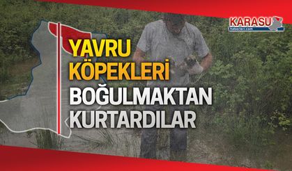 Yavru köpekleri boğulmaktan kurtardılar