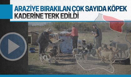 Geri alınacağı söylenerek bırakıldılar, kaderlerine terk edildiler