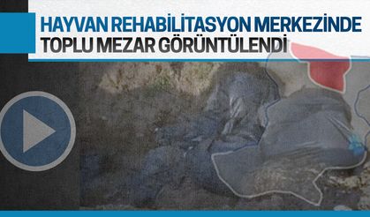 Karasu'da infial oluşturan toplu mezar