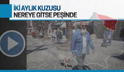 İki aylık kuzusu peşinden hiç ayrılmıyor