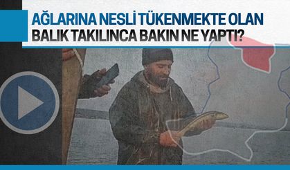 Karasulu balıkçının ağlarına nesli tükenmekte olan balık takıldı