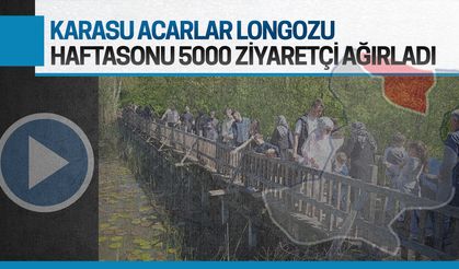 Karasu Acarlar Longozu, hafta sonu 5 bin ziyaretçiyi ağırladı