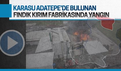 Karasu’da fındık kırım fabrikasında korku dolu saatler