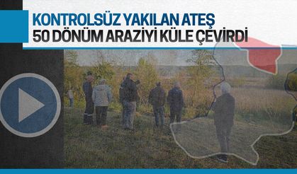 Kontrolsüz yakılan ateş 50 dönüm araziyi küle çevirdi