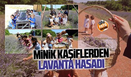 Karasu İlk Adım Gündüz Bakımevi minikleri lavanta bahçesinde
