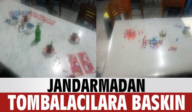 Jandarmadan tombalacılara baskın