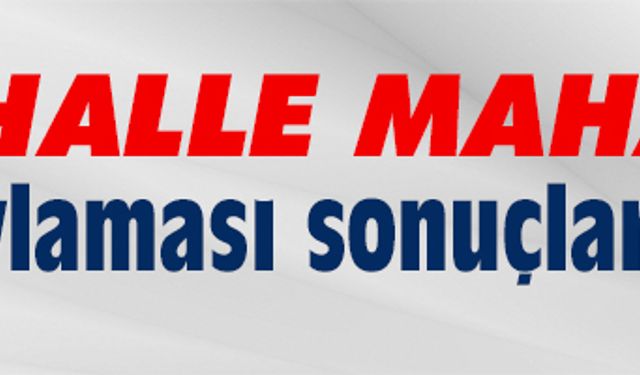 Karasu'da mahalle mahalle referandum sonuçları