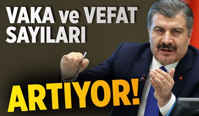 17 Eylül 2020 vaka tablosu