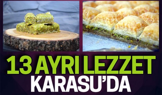 13 ayrı lezzet Karasu’da