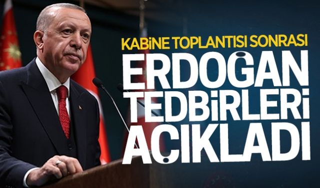 Erdoğan, yeni tedbir kararlarını açıkladı