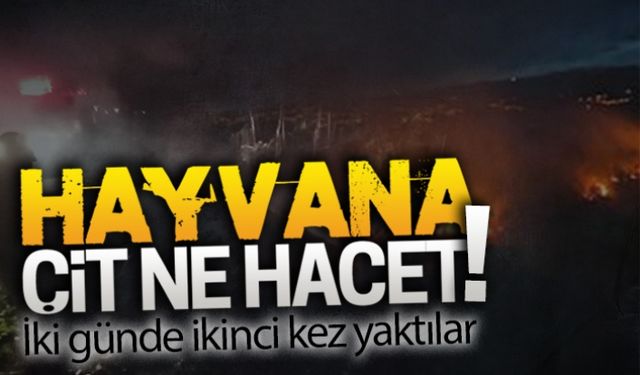 Emanet: Bu vatan hainliği