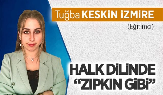 Halk dilinde “ZIPKIN GİBİ”