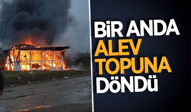 Bir anda alev topuna döndü