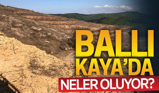 Ballı Kaya’da neler oluyor?