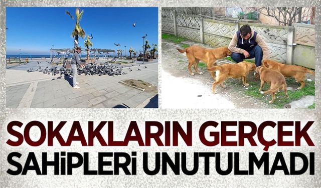 Sokakların sahipleri unutulmadı