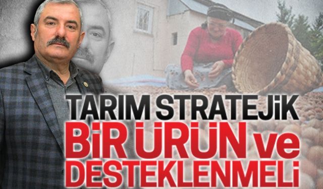 Stratejik bir ürün ve desteklenmeli