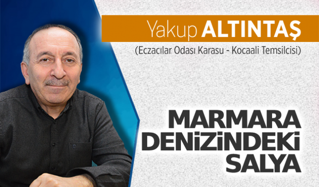 Marmara Denizindeki salya