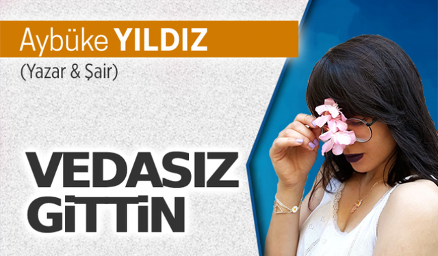 Vedasız gittin