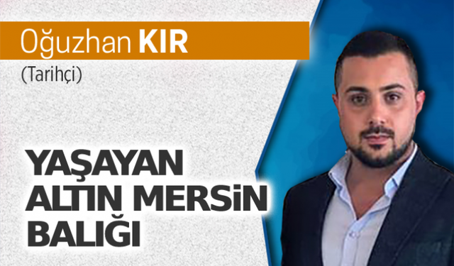 Yaşayan altın Mersin balığı