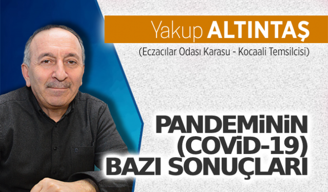 Pandeminin (Covid-19) bazı sonuçları