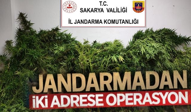 Jandarmadan iki adrese operasyon