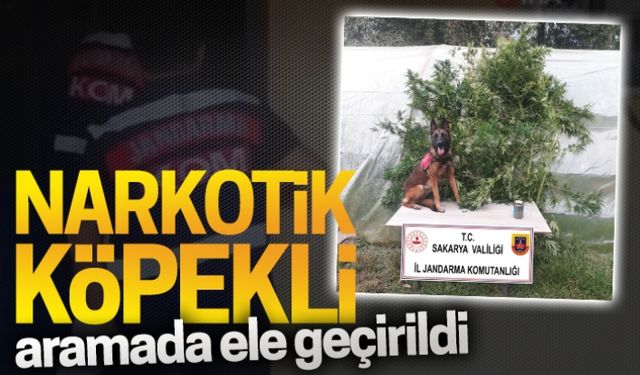 Narkotik köpekli aramada ele geçirildi