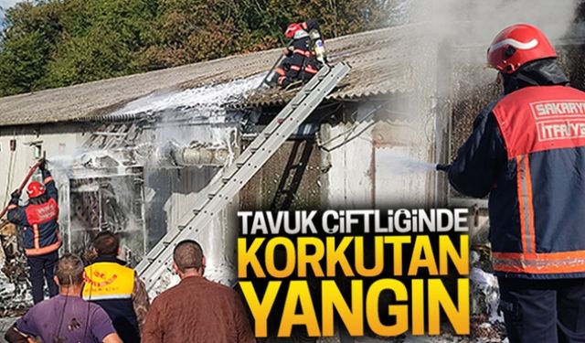 Tavuk çiftliğinde korkutan yangın