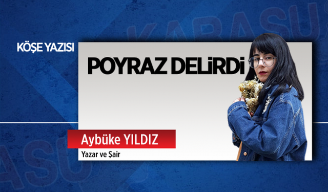 Poyraz delirdi