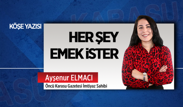 Her şey emek ister