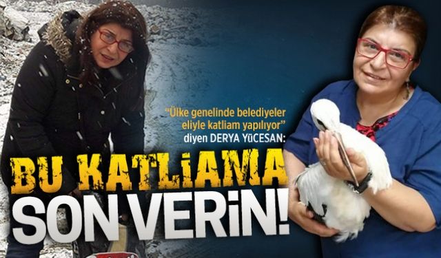 Bu katliama son verin!